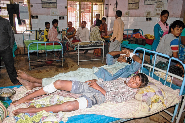 শেয়ালের হানায় জখম ছয়, আতঙ্ক ব্লক জুড়ে