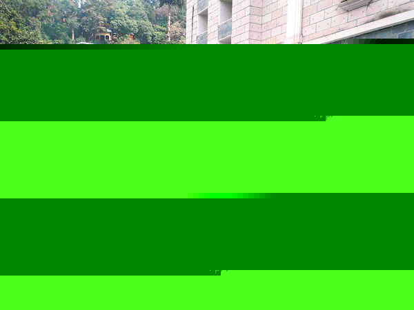 ভিনটেজ কার র‌্যালি