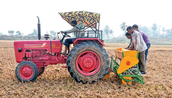 এ ভাবেই হচ্ছে গম চাষ। — নিজস্ব চিত্র