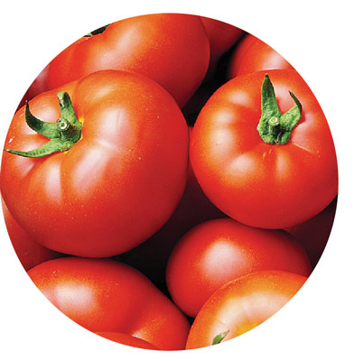 খানা তল্লাশি