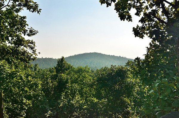 মাও-হানার এক দশক পরেও শূন্যতা