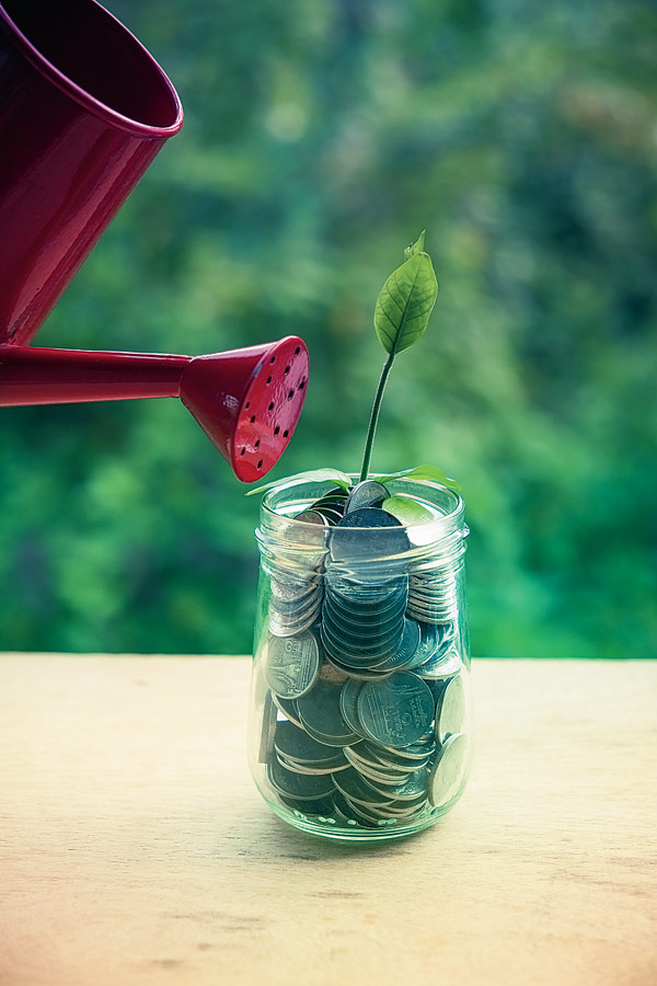 Eyes on investment farms