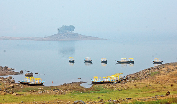 বনভোজনের মাঝে মাথাব্যথা দূষণ