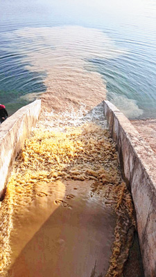 Production starts in Raghunathpur thermal project