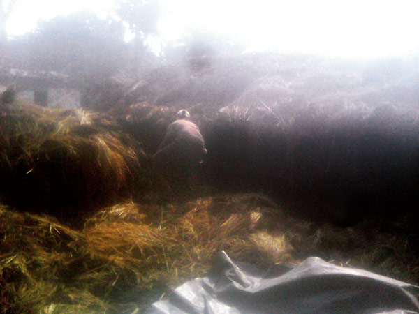 আনুখালে ধানের গোলা, পালুইয়ে আগুন এক রাতে