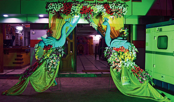 artificial flower replacing natural flower gradually 