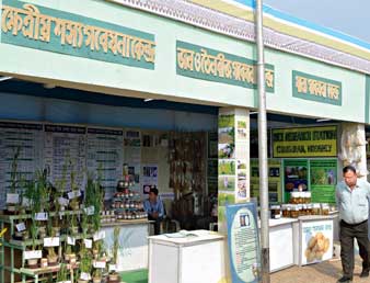 সাজানো স্টল ফাঁকা, মাছি তাড়ালেন কর্তারা