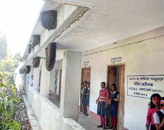 স্কুলের চৌহদ্দিতে বাড়ছে মৌমাছির সংসার