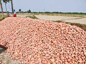 আলু নিয়ে ক্ষোভে ফড়েদের তোপ প্রশাসনের