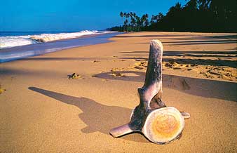 আকাশের চোখ আর নীল সানগ্লাস