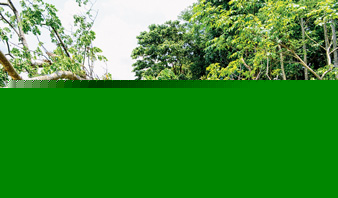 child killed in freak accident in front of mother at swarupnagar