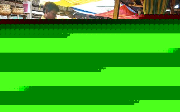 সংরক্ষণের দিশা নেই, হতাশ ফুলচাষিরা