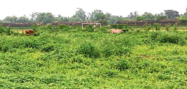 Baharampur stadium only used for cultural program