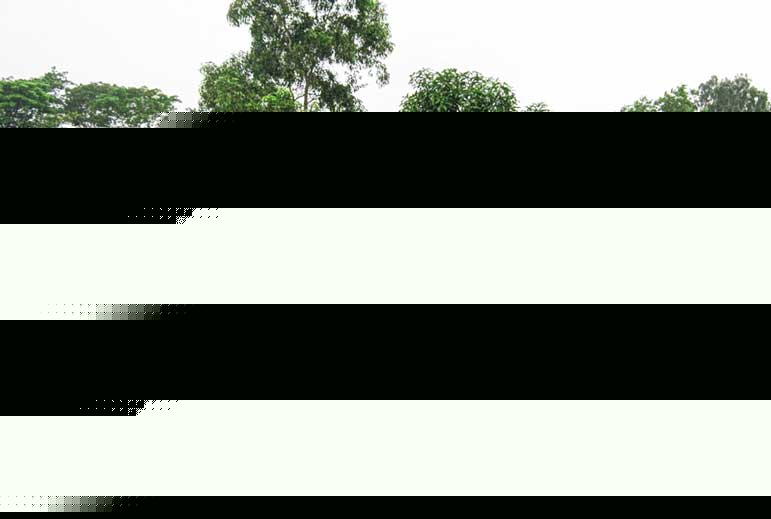 Price hike of Land at Memari