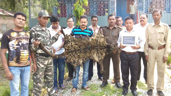 Clouded leopard's peel recovered from jalpaiguri arrested one