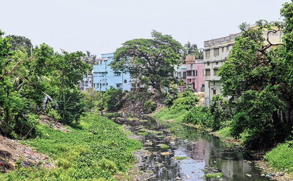 Illegal construction near Banka river