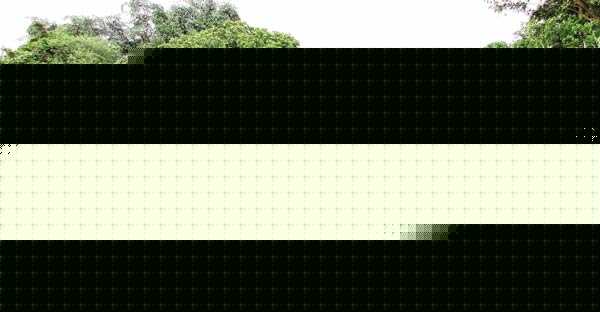 4 cores fund granted for Rajapur irrigation canals