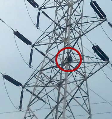 অভিমানে ছেলে কোলে টাওয়ারে চড়লেন বাবা