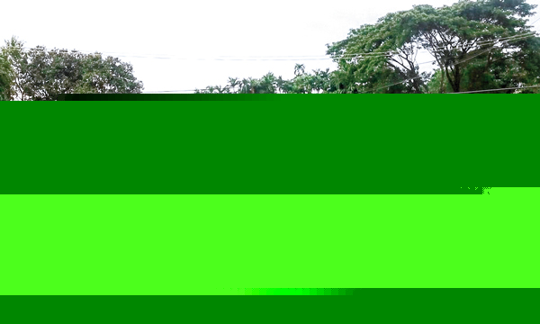 সৌর প্রকল্প নিয়ে ক্ষোভ কলেজে