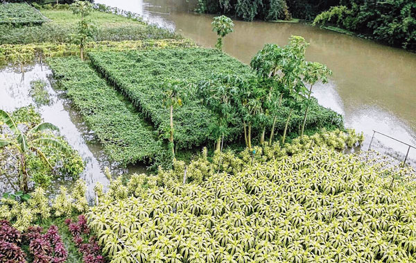 সব্জি অগ্নিমূল্য, হাত পুড়ছে মধ্যবিত্তের