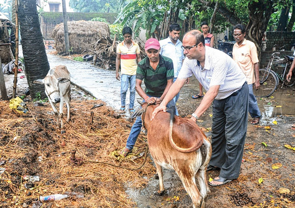 গো-খাদ্য, চিকিৎসা না মেলায় বানভাসিদের ক্ষোভ খানাকুলে