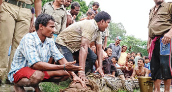 ২৪ ঘণ্টা লড়াইয়ে কুমির কব্জা