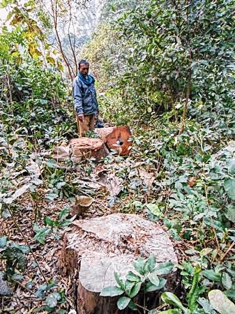 হরিণ নেই, ‘ডিয়ার ফরেস্ট’ এখন দুষ্কৃতীদের মুক্তাঞ্চল