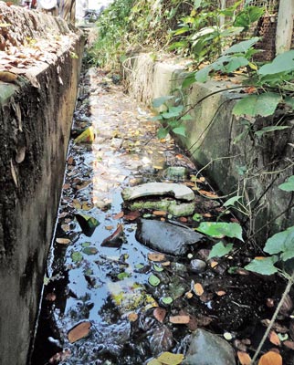 ডেঙ্গি প্রতিরোধের দাবি, বিডিও-কে স্মারকলিপি
