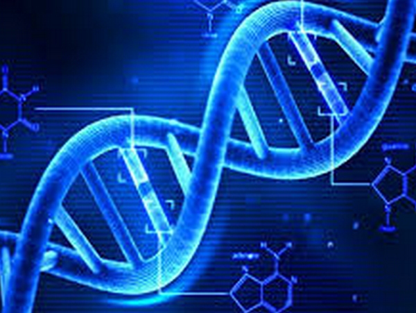 dna test will be conducted for recovered female bones from raigarh forest