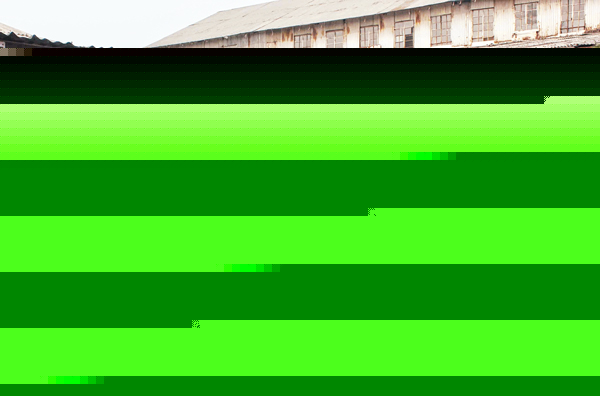 বাগান-কর্তাকে লোক আদালতের নির্দেশ