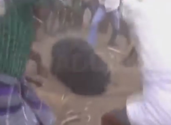 Bear beaten brutally by terrorised villagers in karnataka, video goes viral dgtl