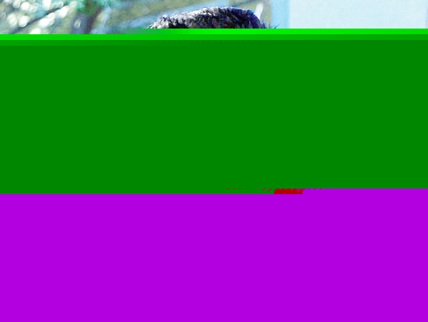 Karan Johar says Speaking on personal life in India can land one in jail