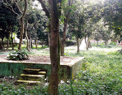 বেহাল পার্কে সন্ধে হলে বসছে মদ, জুয়ার আসর