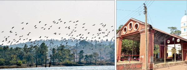 গাইডই নেই সরকারি প্যাকেজ ট্যুরে  