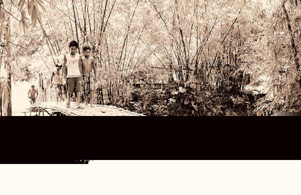 ঘরের দুয়ার ঘেঁষা প্রকৃতিই পাহাড়ে টেনেছে