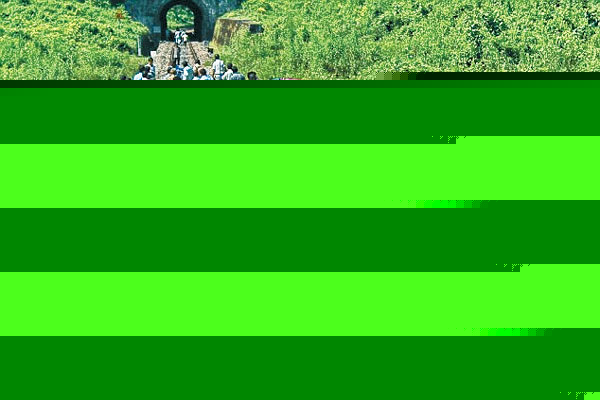 Animal loves protest over Elephant's death due to train collision