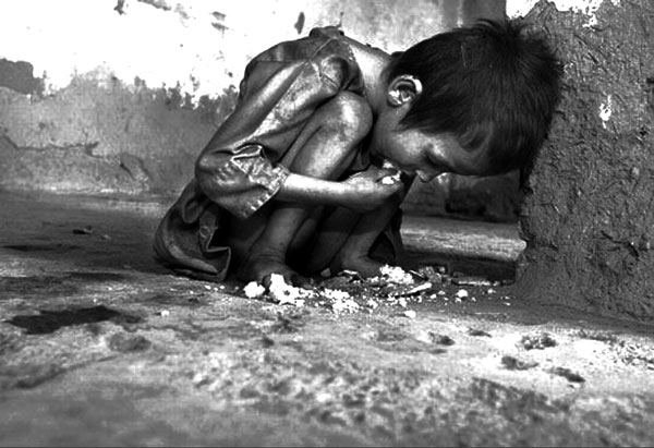 'Food carnival' celebrated in 'starving' West Bengal, Protest brought against TMC