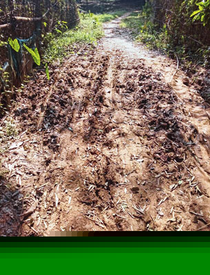 dilapidated road causing trouble for people