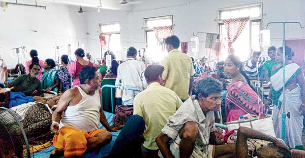 fever spread in balurghat