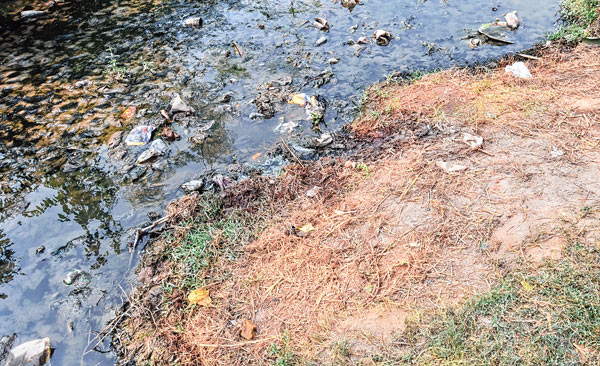 Allegation against sons for murdering father