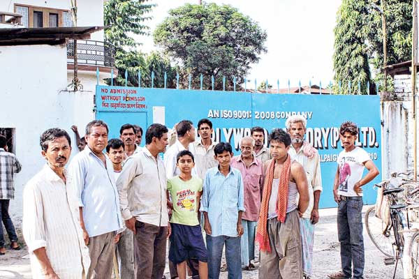 Plywood factory closed, labours in fix