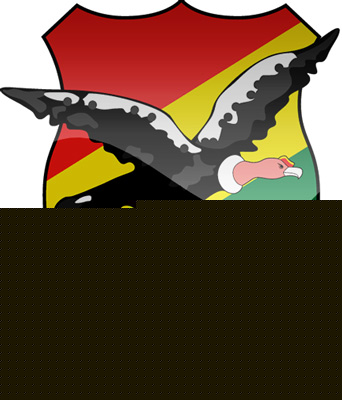 Bolivia punished due to using of ineligible player for World cup qualifying dgtl