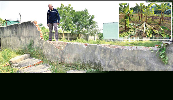 Elephant vandalised missionaries hospital’s wall