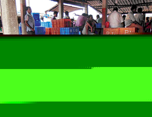 Fish export is going to stop because of demonetisation