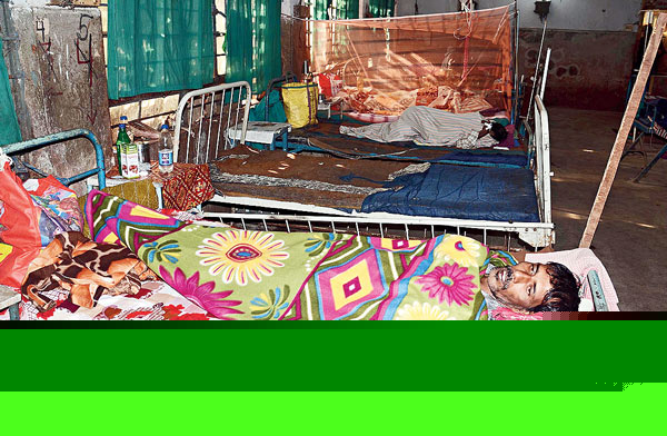 Fear of dengue in winter