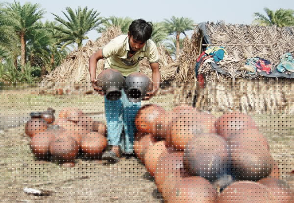 construction High buildings leads to cutting off dates tree, people in trouble