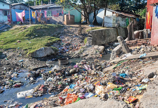 Again dengue and unknown fever spreading in siliguri