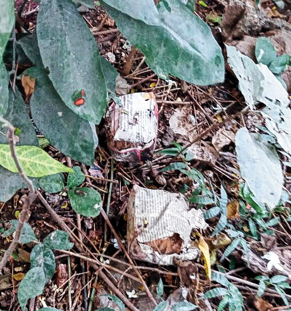 Bomb recovered, Police under question