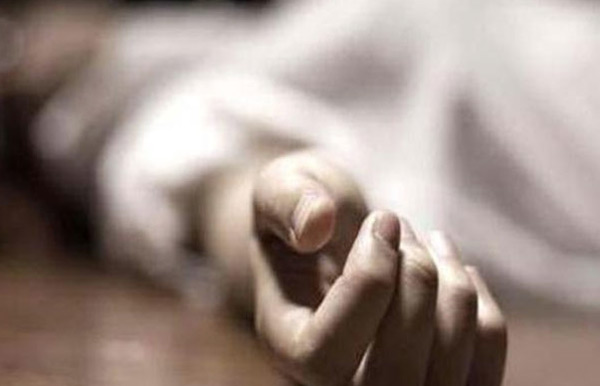 Daughter in law committed suicide after killing her brother in law