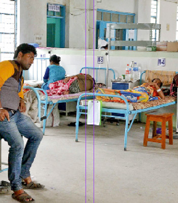 Dengue spreading in Siliguri, panic arise